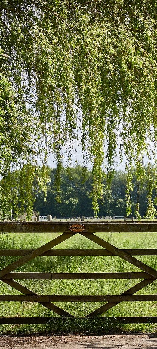 country gate and tree